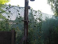 Zahrada Chabařovice - Foto 27