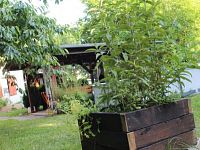 Zahrada Chabařovice - Foto 28