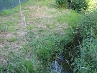 Zahrada Chabařovice - Foto 29