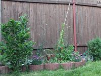 Zahrada Chabařovice - Foto 30