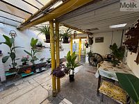 Prodej rodinného domu s garáží a zahradou se zahradním domkem, ul. Litoměřická, Bílina, 840 m2 - Foto 2