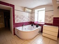 Prodej rodinného domu s komerčními prostory, obec Nížebohy - Foto 6