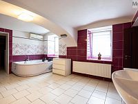 Prodej rodinného domu s komerčními prostory, obec Nížebohy - Foto 7