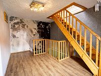 Prodej rodinného domu s komerčními prostory, obec Nížebohy - Foto 18