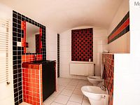 Prodej rodinného domu s komerčními prostory, obec Nížebohy - Foto 23