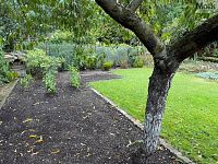 Zahrada 441 m, Postoloprty, Draguš - Foto 26