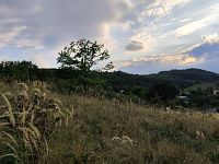 Stavební pozemek 1645 m2, obec Bžany-Bukovice, kat. území Lhenice u Bžan - Foto 12