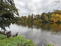 Chata, obec Miřetice  - Foto 18