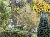 Chata, obec Miřetice  - Foto 24