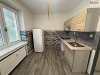 Byt 1+1, ul. Lesní, Most