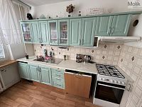 Byt 4+1+L, Jana Kříže 