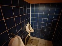 Dům s komerčním prostorem, Libčeves - Foto 10