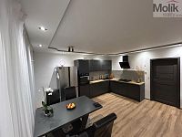 Byt 3+1, ul. Františka Malíka, Most