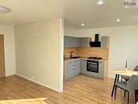 Byt 3+1, ul. Česká 