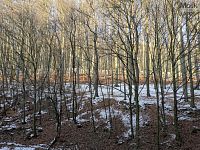  K podnájmu družstevní byt 4+1+L (90 m2) ulice Luční 311, Litvínov - Janov - Foto 10