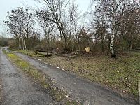 Prodej pozemků, Zabrušany - Foto 4