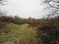 Prodej pozemků, Zabrušany - Foto 6