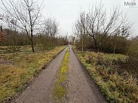 Prodej pozemků, Zabrušany - Foto 7