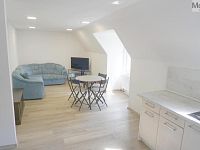 Pronájem bytu 2+kk, 45m2 Mánesova, Litvínov