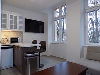 Pronájem bytu 2+1 s balkonem v ulici U Hadích lázní, Teplice