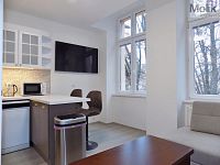 Pronájem bytu 2+1 s balkonem v ulici U Hadích lázní, Teplice - Foto 13