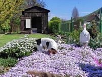 Prodej zahrady, 395 m2, Obrnice, České Zlatníky - Foto 23