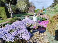 Prodej zahrady, 395 m2, Obrnice, České Zlatníky - Foto 18