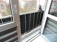 Pronájem bytové jednotky 2+1, 56 m2, DR, Most, Petra Jilemnického - Foto 24