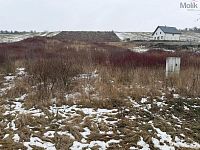 Pozemek, Korozluky 10 167 m - Foto 2