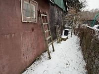 Zahrada, Patokryje - Foto 20