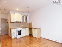 Prodej bytu 1kk se zasklenou lodžií, 21 m2, ulice Hoření, Ústí nad Labem - Foto 9