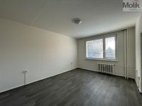 Pronájem bytu 1 + 1, ul. U Zámeckého parku, Horní Litvínov, Litvínov, okres Most, 35m2 - Foto 4