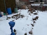 Zahrada, Most - Foto 9