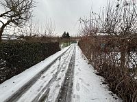 Zahrada, Most - Foto 12