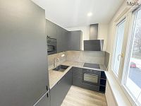 Pronájem bytu 2+1, 55m2, Podkrušnohorská, Litvínov  - Foto 4