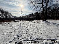 Pozemek, Háj u Duchcova - Foto 2