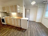 Prodej bytu 2+1, 64 m, lodžie, 6. patro s výtahem - Foto 4