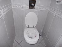 Pronájem rodinného domu se zahradou 2318 m2, obec Mariánské Radčice okres Most - Foto 12