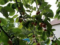 Prodej pozemek 454 m2, Místo - Foto 7