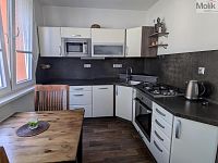 K prodeji byt v osobním vlastnictví 2+1 (60 m2) v obci Duchcov, ulice V Domkách 1326/56 - Foto 3