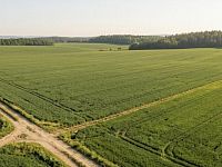 Pozemek, Malotice - Foto 2