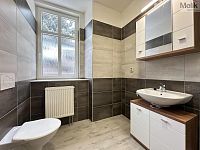 Pronájem, byt 2+kk, 40 m2, Osek, ul. Obránců míru - Foto 9