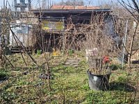 Prodej zahrada rozloha 363 m2, Chomutov - Foto 5