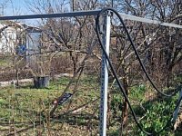 Prodej zahrada rozloha 363 m2, Chomutov - Foto 11