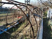 Prodej zahrada rozloha 363 m2, Chomutov - Foto 12