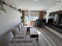 Prodej bytu 3+1+L, ul. Fr. Malíka - Foto 4