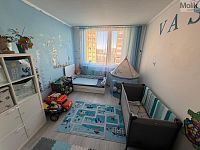 Prodej bytu 3+1+L, ul. Fr. Malíka - Foto 7