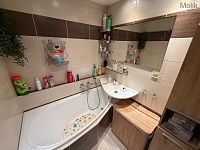 Prodej bytu 3+1+L, ul. Fr. Malíka - Foto 9