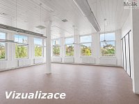 K pronájmu komerční prostory o velikosti 110 m2, Teplice, ul. Thámova 1052/26 - Foto 3