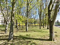 Prodej bytu 3+1 s lodžií v Teplicích, ulice Trnovanská, 74 m2 - DSCN8974a.jpg